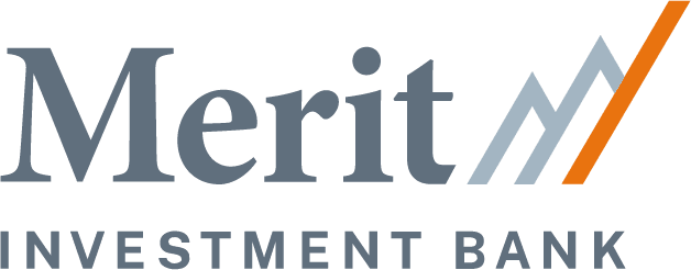 merit investment bank grey opt2